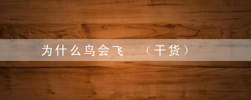 为什么鸟会飞 （干货）